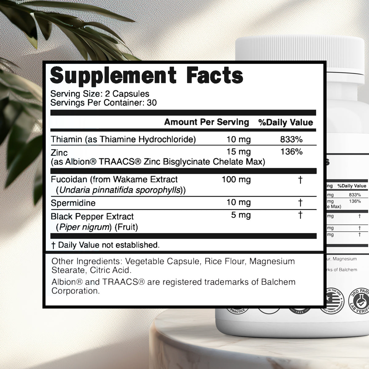 Kiq AutoAge - Cellular Longevity. Reinvented.