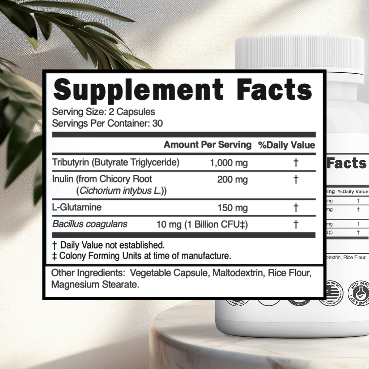 Kiq BioDigest - Total Gut Harmony. From Core to Cell.